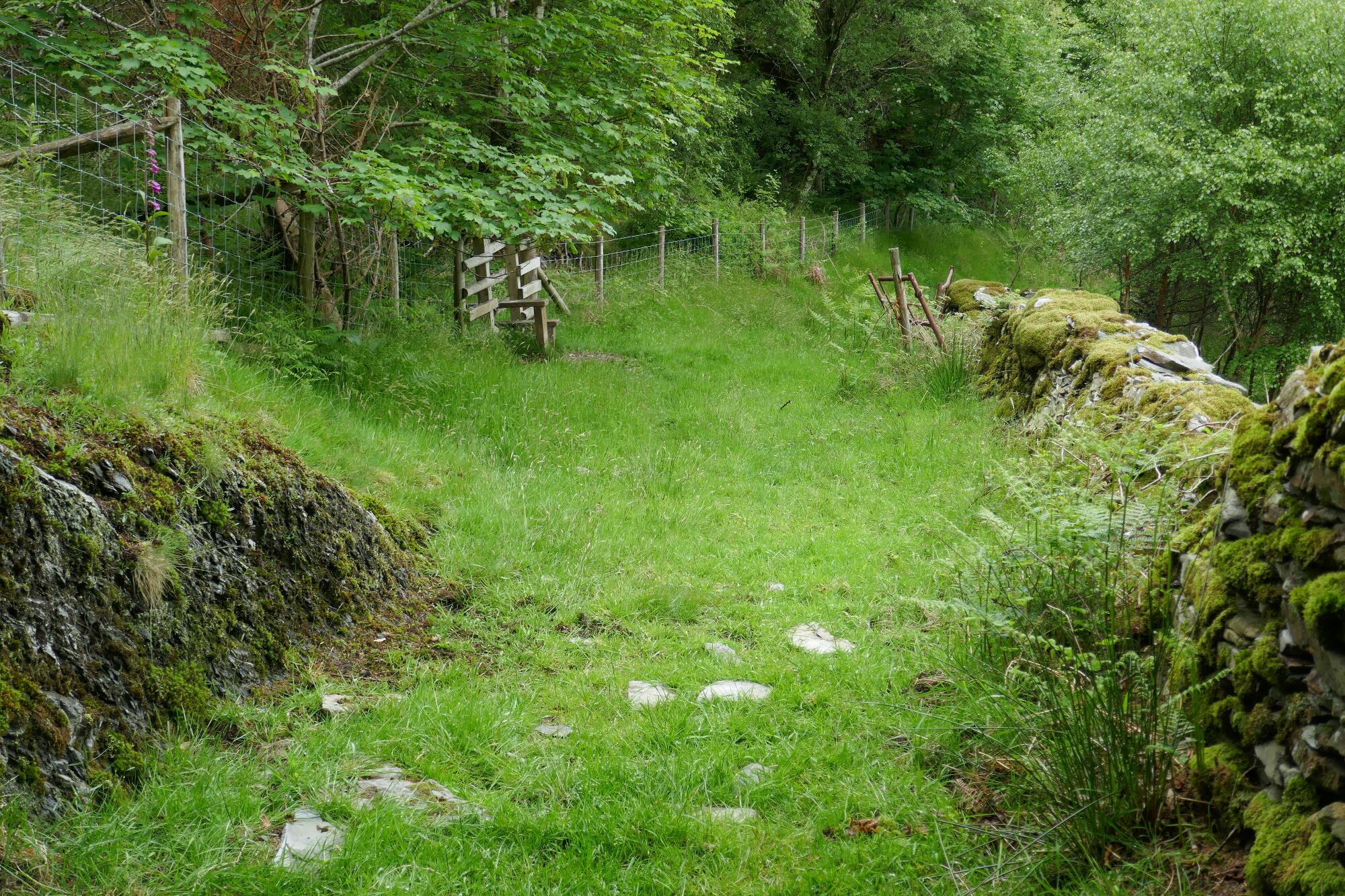 RachelSeabrook.net | Wild Walking | Devils-Bridge; pic33